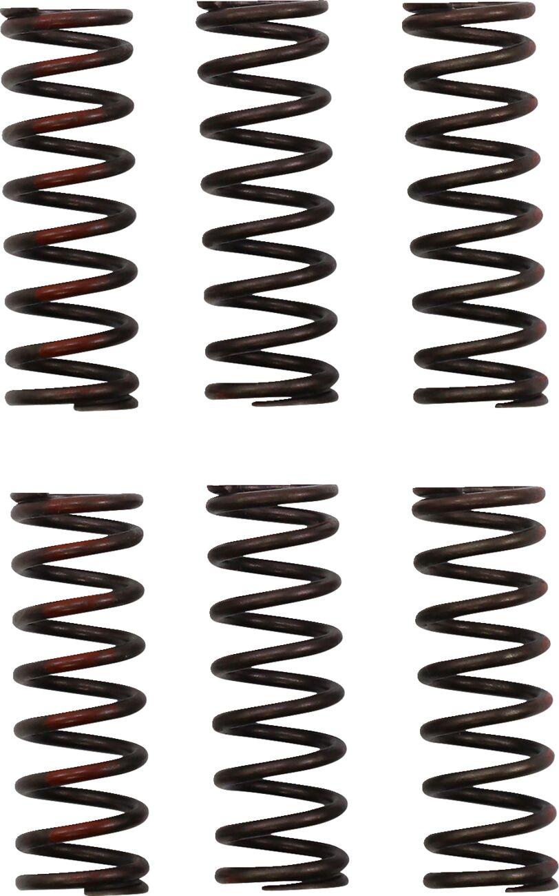 CSH21450-CS - Pro Circuit Clutch Spring Set For Honda CRF450R 2021-2024