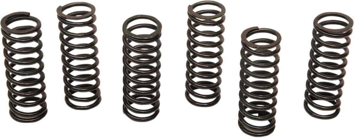 501-60-06085 - Barnett Clutch Spring Kit For Honda CBR 1100 XX 1999-2003 - Black
