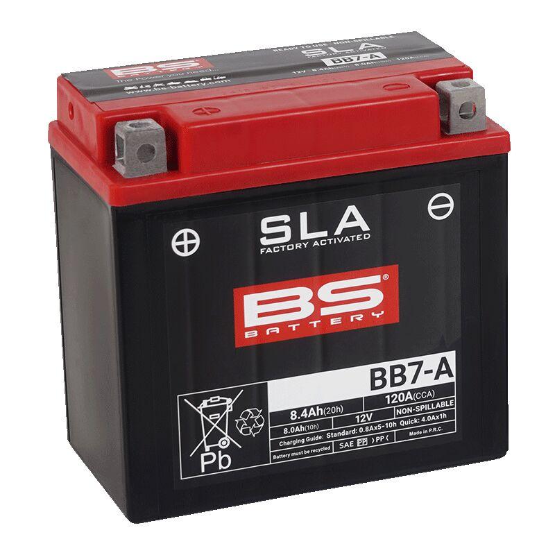300850 - BS Battery SLA AGM Battery For Explorer ARGON 330 2X4 2012-2013 - Black