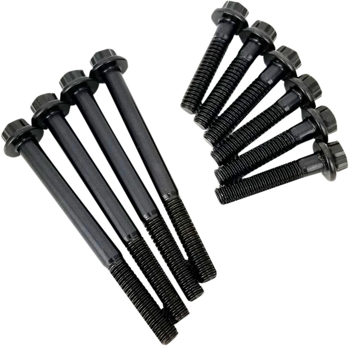 8022 - Feuling Parts Cam Plate & Oil Pump Fastener Kit For Harley Davidson FLDE 1750 2018-2020 - Black Oxide