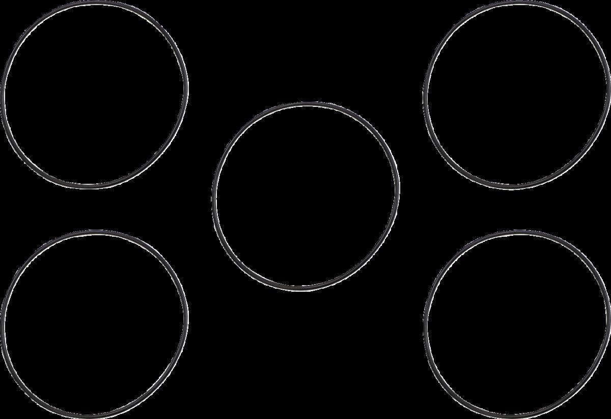 JGI-25416-99 - James Derby/Inspection Cover Seal Kit For Harley Davidson FLHR 1450 1999-2003