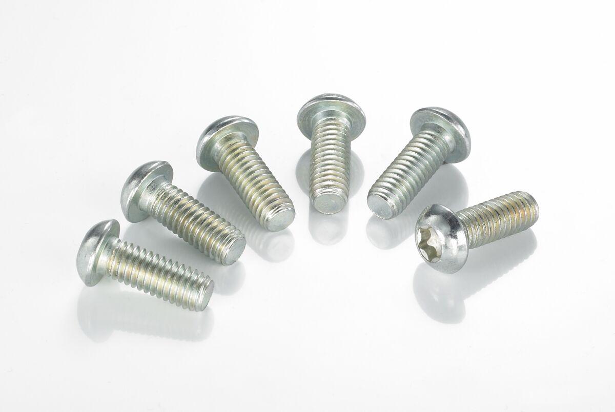 MSW102-6 - TRW Brake Disc Bolt Set For Honda CBR 900 RR 1992-1995 - Silver/Stainless Steel
