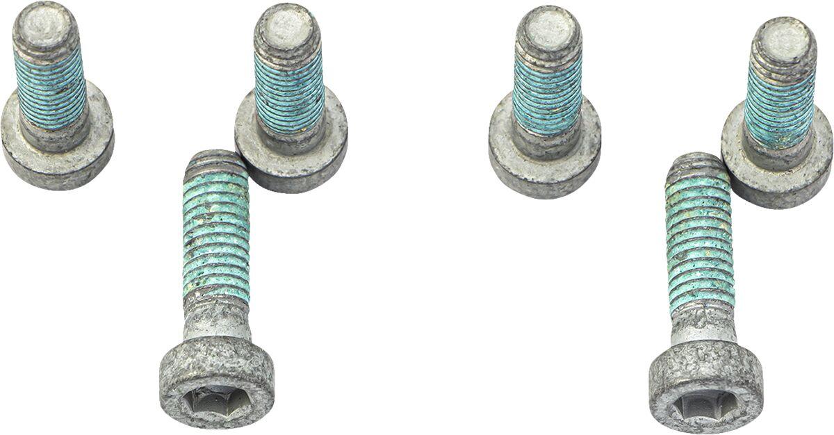 MSS138-6 - TRW Brake Disc Bolt Set For BMW F 650 CS 2002-2005 - Silver/Stainless Steel