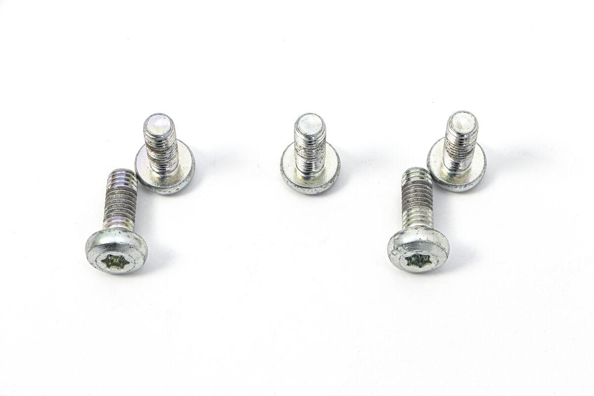MSS170-5 - TRW Brake Disc Bolt Set For Harley Davidson FLD 1690 2012-2013 - Silver/Stainless Steel