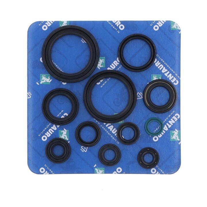 666A310SR - Centauro Oil Seal Kit For Honda CRF250R 2004-2017