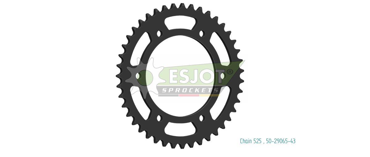 50-29065-43 - Esjot Standard 525 Sprocket For Qjmotor SRV 550 ABS 2023-2024 Rear Black 43T