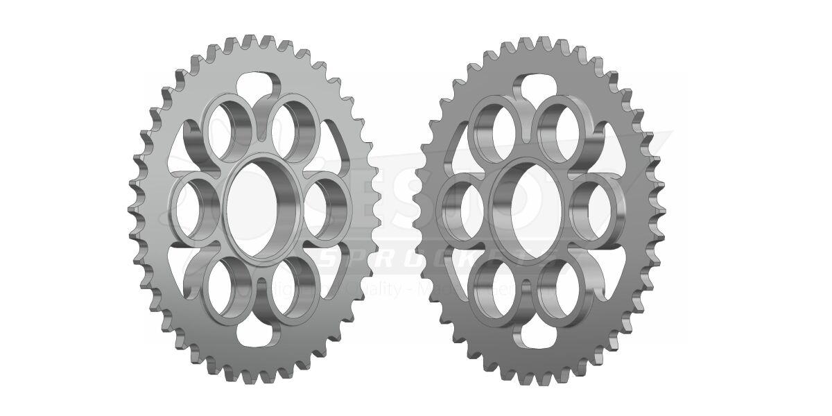 50-29048-41 - Esjot Standard 525 Sprocket For Ducati Monster 1200 R ABS 2016-2019 Rear Zinc Plated 41T