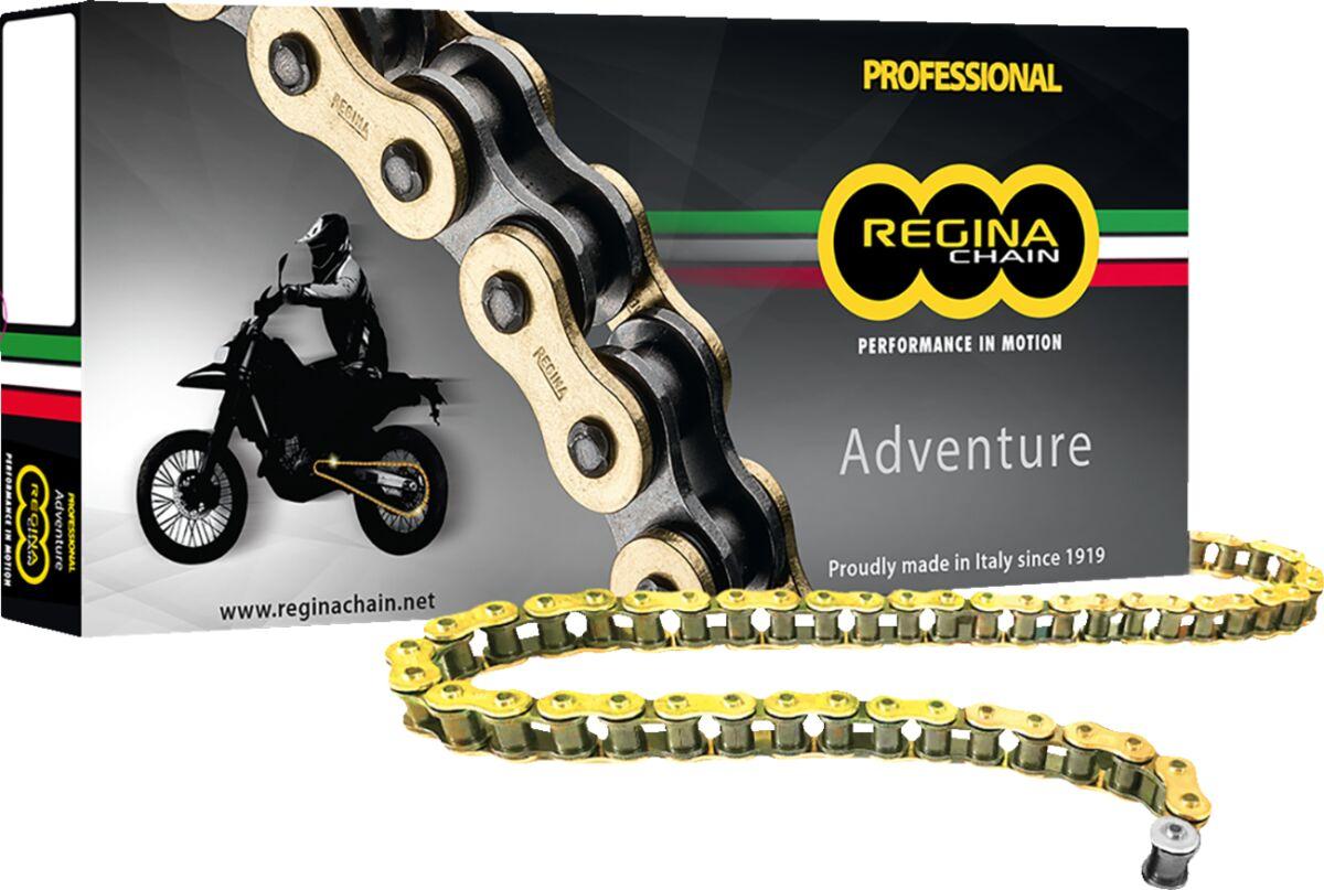 Regina 135Zre/1008 - 520 Zre Z-Ring Chain 120 Links
