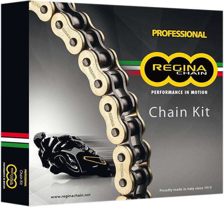 KD041 - Regina 520 ZRT Chain & Sprocket Kit For Ducati Monster 696 2008-2014 108 Links 15T X 45T